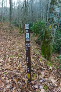 Trail Sign at the High Point of Bluff Mountain Loop Trail