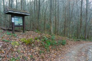 Trailhead for Bluff Mountain and Betty Place Trails