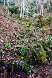 Tributary Crossing on Bluff Mountain Loop Trail