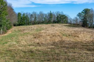 Wildlife Meadow #3 on FS 482B