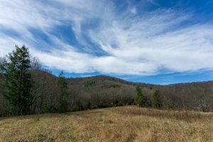 Wildlife Meadow #3 on FS 482B