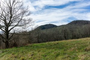 View from Second Wildlife Field on FS 482B