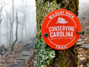 Blaze for the Wildcat Rock Trail