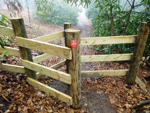 Cattle Guard on the Wildcat Rock Trail