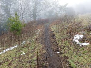 Wildcat Rock Trail in Pasture