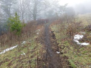 Wildcat Rock Trail in Pasture