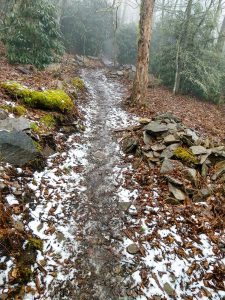 Ice and Snow on the Wildcat Rock Trail