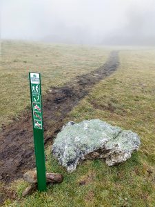 Wildcat Rock Trail in Pasture