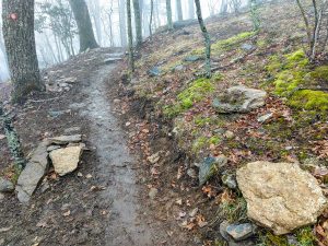 Glade on the Wildcat Rock Trail