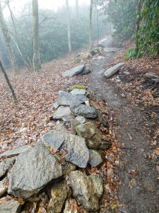 Rock Border on the Wildcat Rock Trail