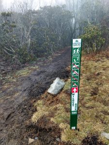 Wildcat Rock Trail Sign