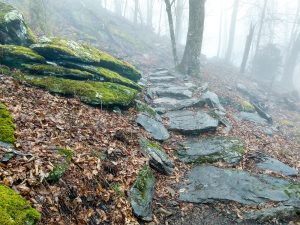 Rock Steps on the Wildcat Rock Trail