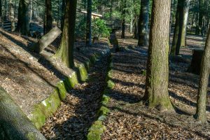 Drainage at Black Mountain Campground