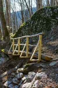 Log Bridge on Devils Den Nature Trail