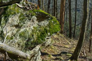 Rock Outcrop on the Devils Den Trail