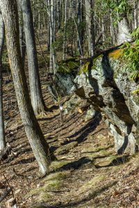 Rock Outcrop on the Devils Den Trail