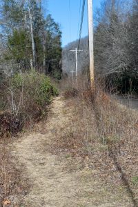 River Loop Trail By The Road