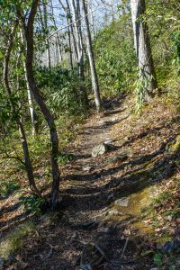 River Loop Trail Middle Section