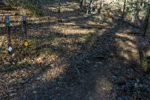 River Loop and Devils Den Trails