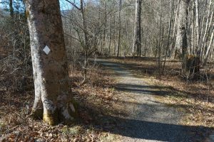 Gravel Section of River Loop Trail