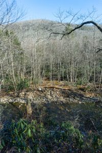 River Loop Trail Above the River