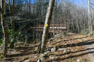 Lower Bridge on the River Loop Trail