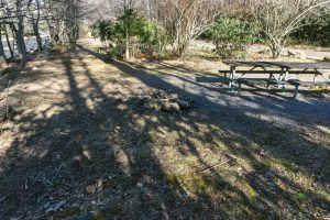 River Loop Trail Picnic Tables