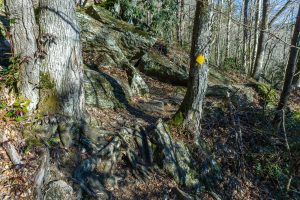 Rocky Section of River Loop Trail