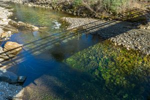 Swimming Hole on S Toe River