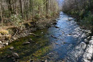 View Upstream on the S. Toe River