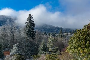 Beech Gap in Snow