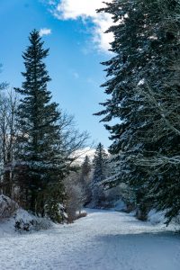 The Blue Ridge Parkway in Snow