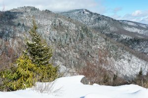 View of Devil's Courthouse from NC 215 in the Snow