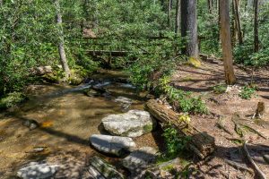 Chinquapin Mountain Trail Bridge