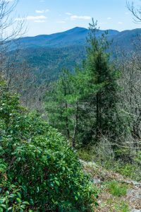 Lookout 2 on Chinquapin Mountain