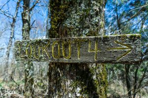 Sign for Lookout 4 on Chinquapin Mountain