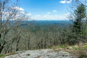 View from Lookout 4 on Chinquapin Mountain