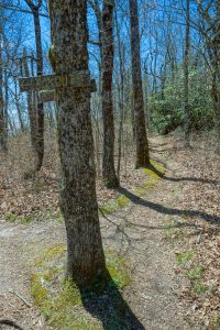 Lookout 5 Junction on the Chinquapin Mountain Trail