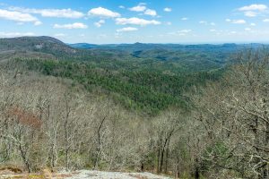 View from Lookout 5 on Chinquapin Mountain