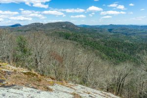 View from Lookout 5 on Chinquapin Mountain