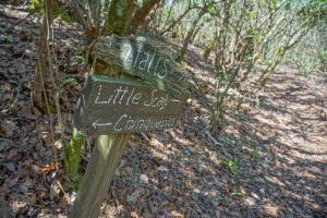 Old Sign on the Chinquapin Mountain Trail