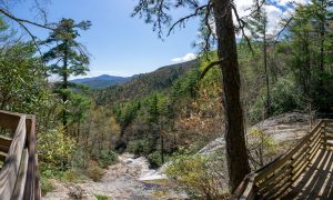 View from the Top of Glen Falls