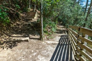 Trail Structures at Glen Falls