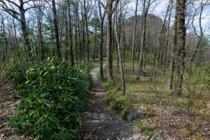 Approaching Table Rock on the Mountains to Sea Trail