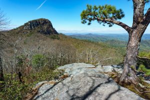 View of Table Rock from the Mountains to Sea Trail in the Chimneys Area