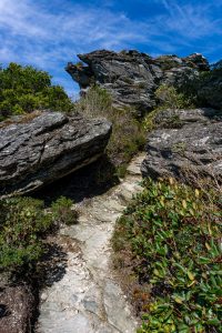 Rock Garden on the Mountains to Sea Trail