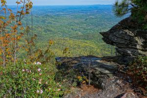 View East from the Mountains to Sea Trail