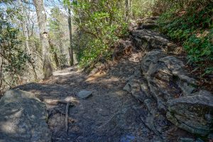 Table Rock and Mountains to Sea Trails