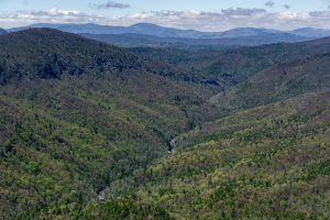 Linville Gorege from Table Rock