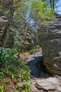 Table Rock Trail Through Cleft